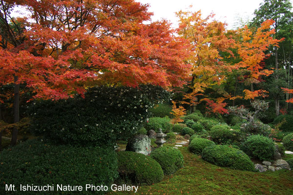 kyoto (076)